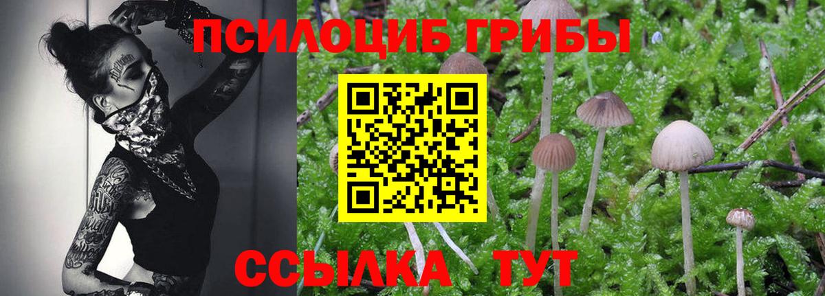 Галлюциногенные грибы MAGIC MUSHROOMS Батайск